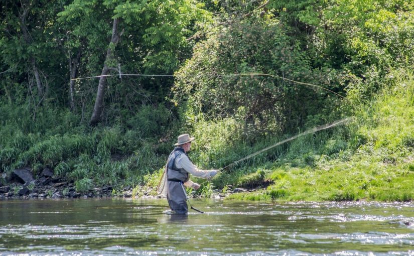 River Trout Fishing: How to Trap Trout in Rivers